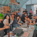 설국농장 이미지