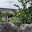 등너머경로당 이미지