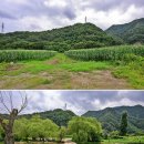 창포마을 이미지