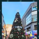 크리스마스트리 맞춤 제작·설치·렌탈까지, 대형 트리 전문 미다스 인테리어