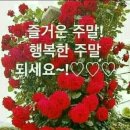 삶의필요