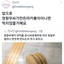 정항우케익 마카롱 존나비싸게파네 어이 정항우 얼마나 맛잇게 만드는지 두고 보자고 이미지