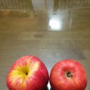 정임3농장 이미지