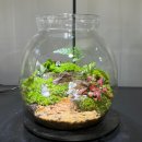 양지로 281번길 | 남양주 테라리움 원데이클래스 공방 추천 휴식물디자인샵