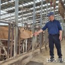 착한농부한우농장 이미지