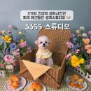 뽑기짱ZONE | [강서/화곡] 강아지 사진관 3355 스튜디오 방문 후기| 강아지 컵셉 셀프 사진관 + 애견동반 가족사진...