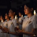 안녕 나이팅게일 이미지