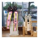 아꼽개 이미지
