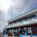 끝판왕피자 - 은평구 통일로 820 | 산방산 맛집 밀밀스! 제주 화덕피자 끝판왕 노르마 피자 후기