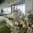 다르미앙 이미지