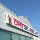 댕댕뷰티 네이버블로그
