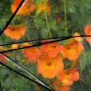 1258 | 사랑 명상 1258