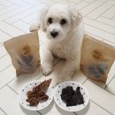 멍멍하누 이미지