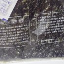 금비마트 | [풍미푸드반찬] 밥도둑 구운 김 ｜바삭하고 고소한 밥도둑 김 추천