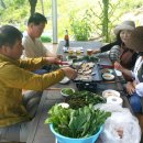 고경농장 Daum카페