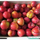 한별컴퓨터 이미지