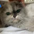 광산구-119 이미지