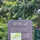 우면산식당 이미지