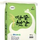 풍미 이미지