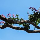 서귀포시 보훈회관 이미지