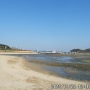 대부해솔길 3코스 Daum카페