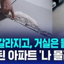 쩍쩍 갈라지고, 거실은 물바다...... 4년 된 아파트 '나 몰라라' 이미지