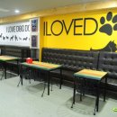 아이러브독도 이미지