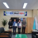 요트학교 이미지