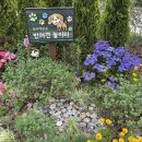 보라매공원 세계정원 박람회 이미지