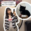 고양이묭실 | 트하헤어 의정부역미용실 헤어스파 유니프 모발클리닉 겨울두피 얇은모발,탈모,헤드스파 할인