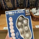 헬로 다키 | [일본생활] day+20 | 난바 동구리 공화국 와라와라 키링 | 애니 덕질 | 산리오 쇼핑 | 첫 감자볶음 성공...