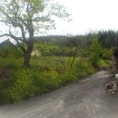 밀양삼세한의원 이미지