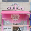 하임 염색 이미지