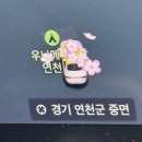 D-3 | 연천 우니메이카 캠핑장 :) 서울근교 캠핑장 &amp; 개별화장실 &amp; 샤워실 &amp; 타프존 D-3 후기