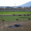 우공농장 이미지