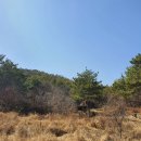 삼산행정사 이미지