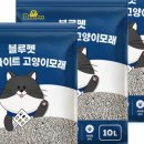 블루펫스토어