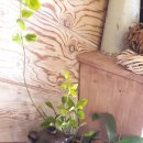 인치업타운 이미지