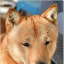 광탄한의원 이미지