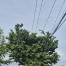 파우제 모먼트 방문 후기