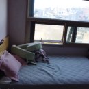 부원장여관 | [후기] 망원 아이린 산후조리원에서 2주 동안 느낀 이모저모/리얼/예약하신분들필독(?)/가격굿/선생님굿...