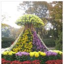 천안연암대학 이미지