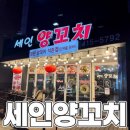 세인 | [석촌] 석촌호수 근처 양꼬치 맛집 ｜세인양꼬치