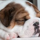 영민메디칼 이미지