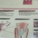 금천구 산부인과 | 자궁경부암 초음파 제이미즈 산부인과 찐후기