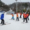 함평군체육회