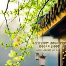 이삭빛 박사님 페이스북에서 봄을 펌해왔지요? - 코리아 편집 위원 이미지