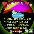 7080민들레라이브카페