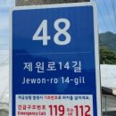 지곡로 국제뉴스