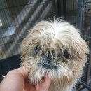 오류2리 이미지